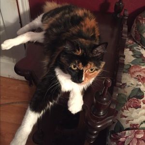 Meet your Posher, Bobbi